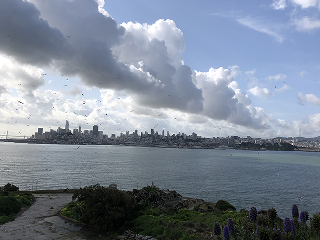 view of San Francisco from Alcatraz