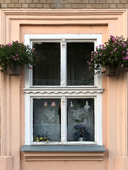 Window in Novi Sad 2019