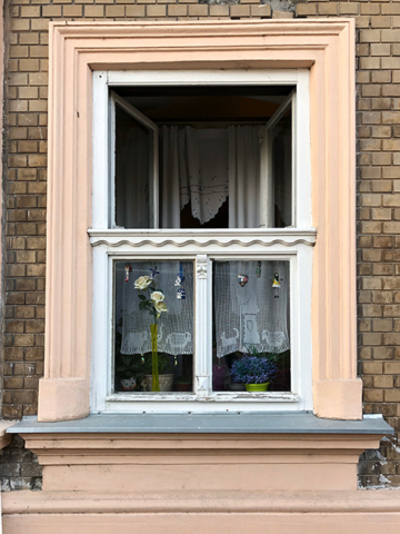 Window in Novi Sad 2019