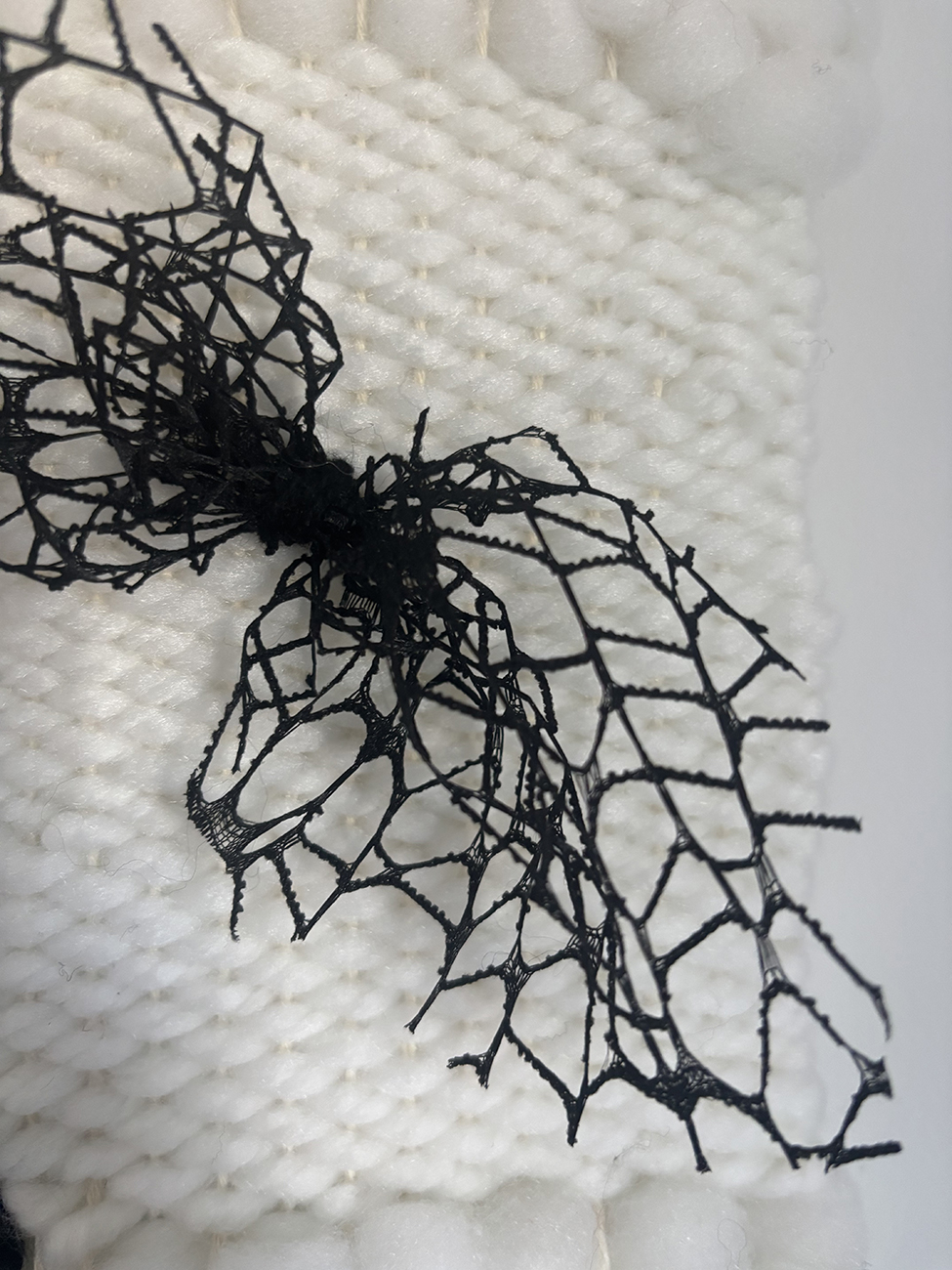 Black and White 2 - Image 5