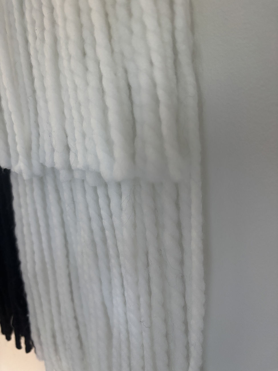 Black and White 2 - Image 2