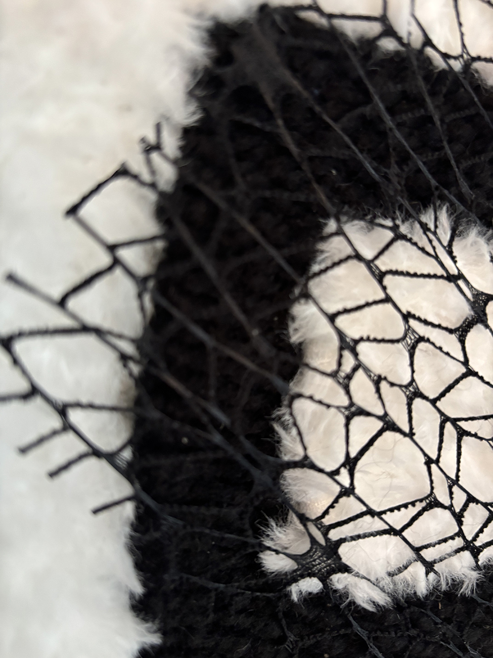 Black and White 3 - Image 7