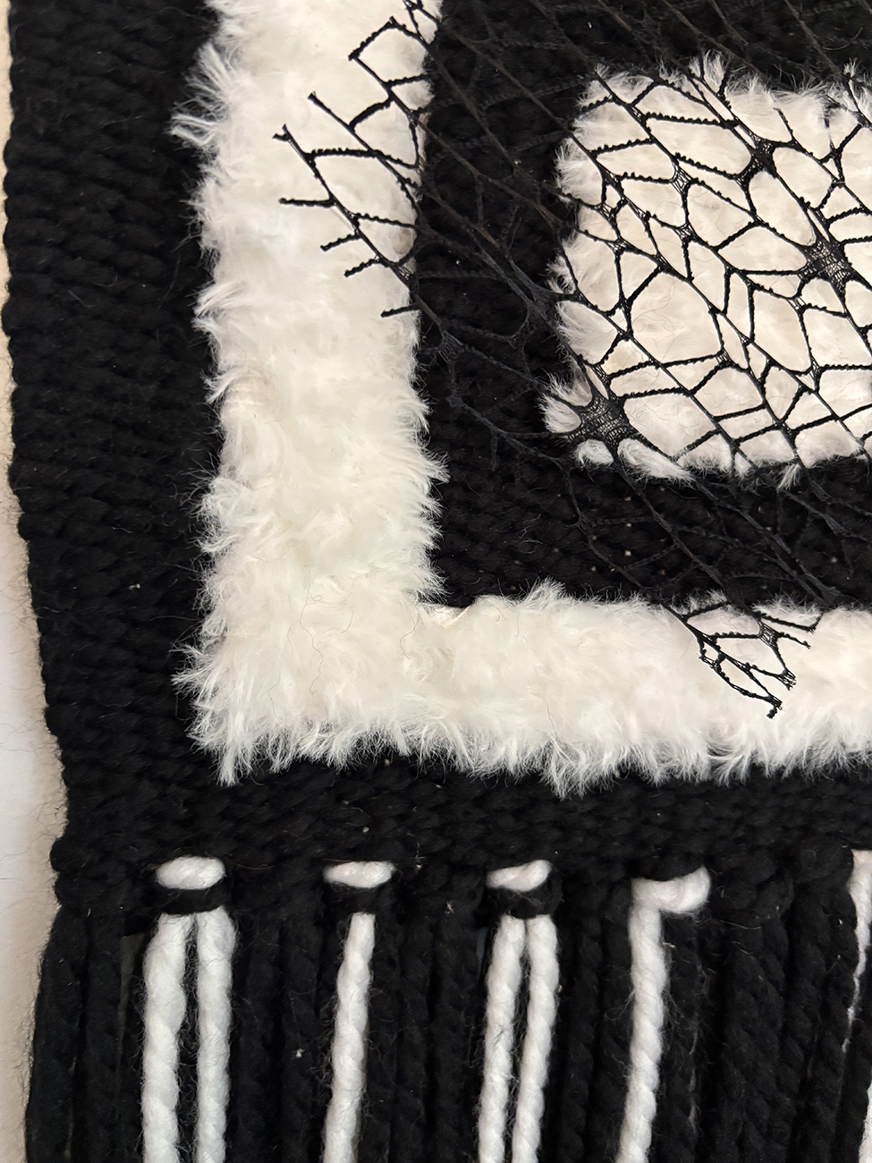 Black and White 3 - Image 5